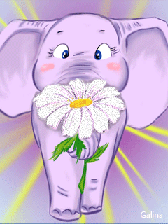 Joli petit éléphant avec fleur.