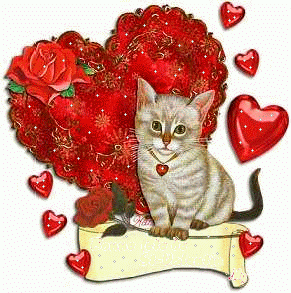 Petit chat avec un coeur rouge !!!