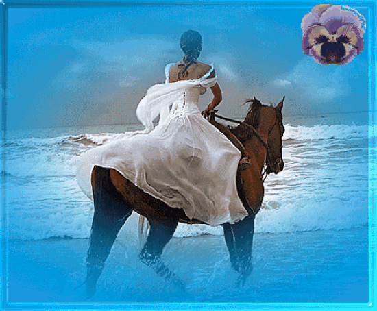 *** Promenade à cheval sur la plage ***