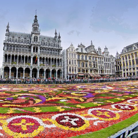 *** Tapis de fleurs de la Grand Place de Bruxelles ***