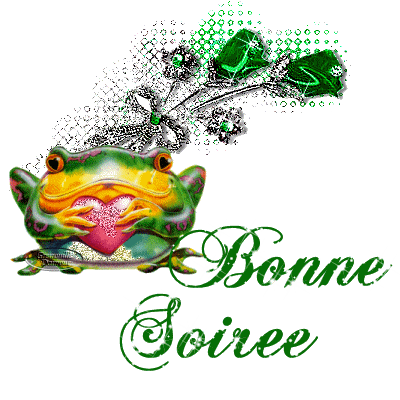 Bonne soirée !!