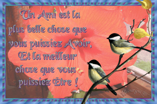 Message D'Amitié.