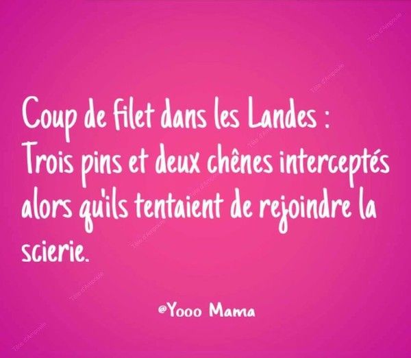 *** UN PEUT D'HUMOUR ***