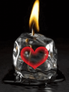 b3d65011.gif