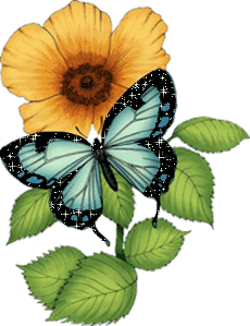 Beau papillon sur une fleur.