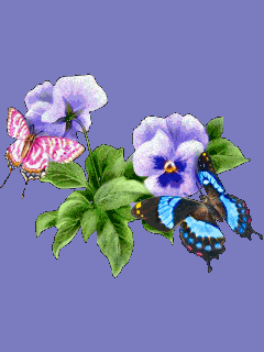 Papillon et fleurs.